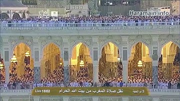 سورة التين | ١ - ٨ | صالح آل طالب