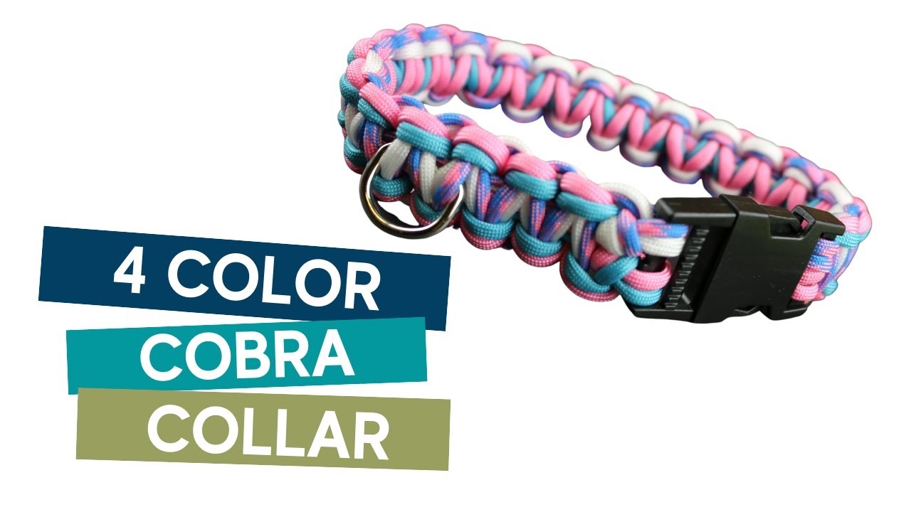 Paracord for Pets - Herringbone Rainbow I think one of my 𝕄𝕠𝕤𝕥  𝕗𝕒𝕧𝕠𝕣𝕚𝕥𝕖 color combinations of all time! ➡️ Goes best with a  #MERLE, a, #BLACK or any other color #dog you