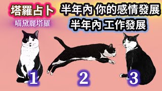 【字幕】🔮未來半年🩷感情發展 & 💰事業發展?|塔羅牌宇宙指引| #喵黛麗塔羅
