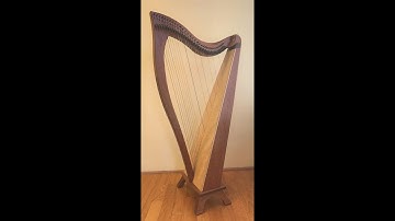 Dusty Strings FH34 (Bubinga) #14653