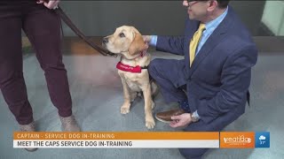 Trainer Deana Stone Readies Washington Capitals Team Dog Biscuit For Life  As a Veteran's Service Dog