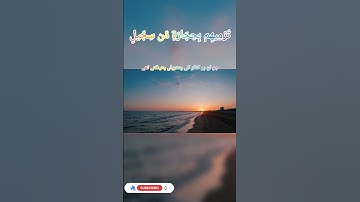 surah Al fil 105 | سورة الفيل - mishary rashid alafasy