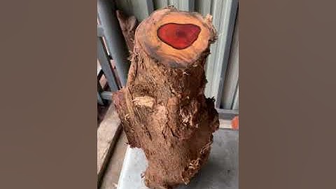 GL cuối tuần gốc trắc đỏ đen krôngpa đặc tịt rác tươi kt trong vd bác nào thiện chí lh 0338918991