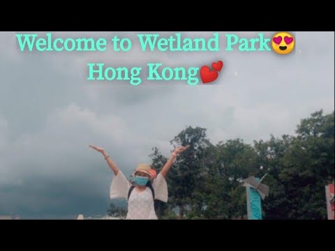Video: I Hvilket Land Er Hong Kong