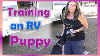 Solo RV Life without Internet//Training my Puppy to Live in an RV Off Grid