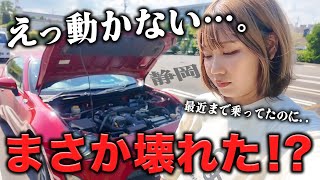 旅行いこうとしたら愛車が動かない…【静岡】