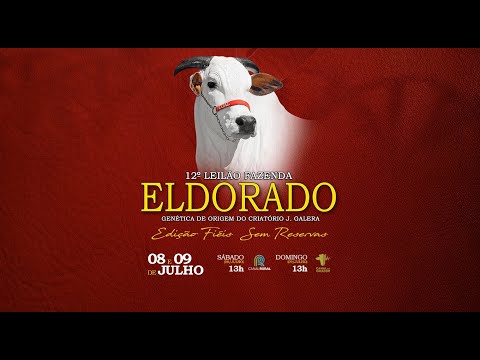 Lote 12   Djordania I VIII FIV CGAL   CGAL 2228 Copy