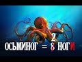 (ТОП 5) Мифы и заблуждения