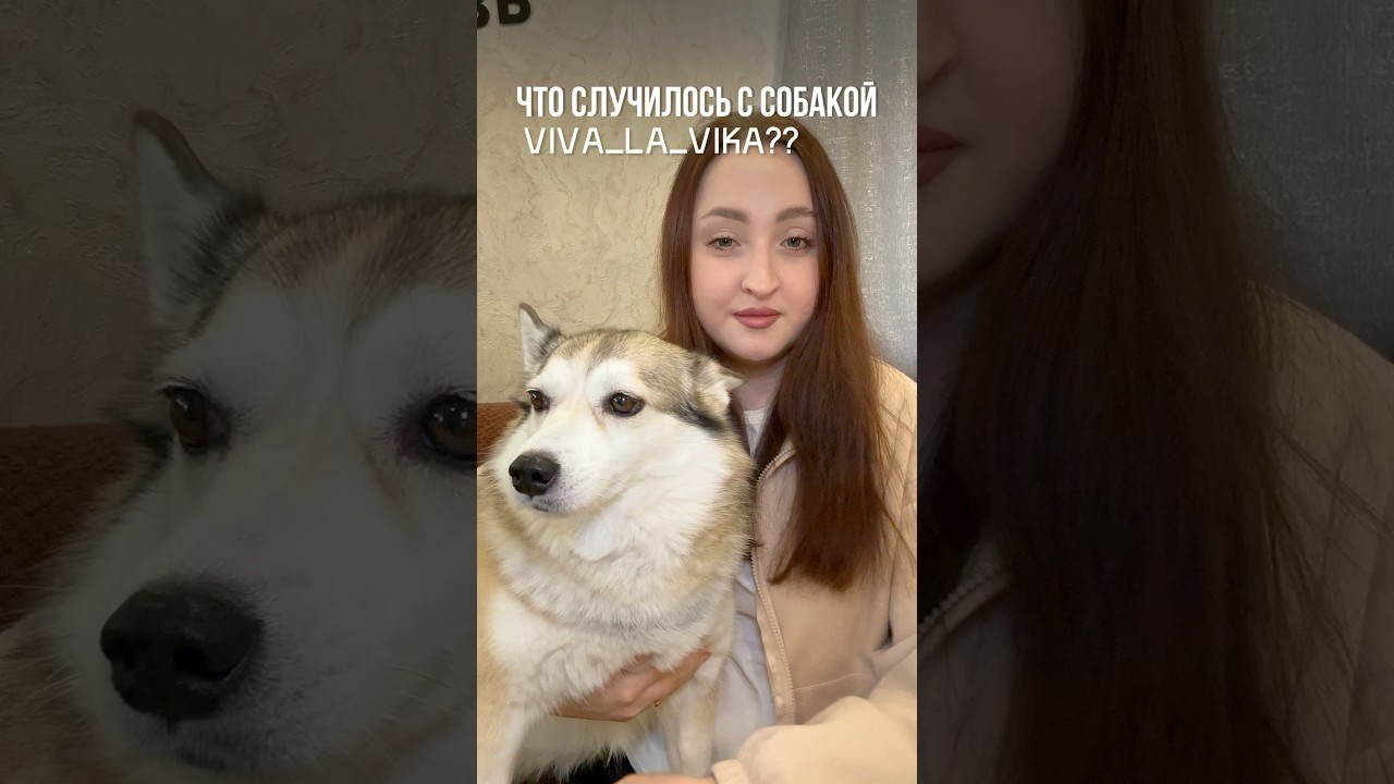 Здоровые зубы и свежее дыхание у 🐶 благодаря зубной пасте SPETS 