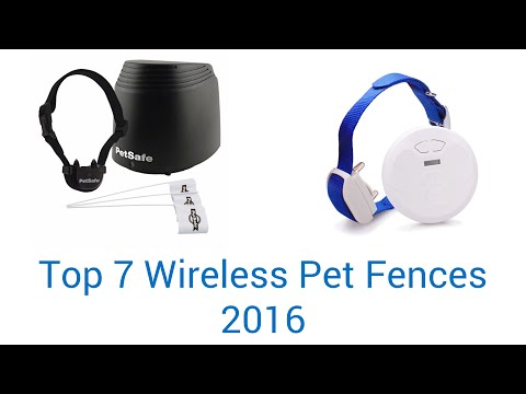 7-best-wireless-pet-fences-2016