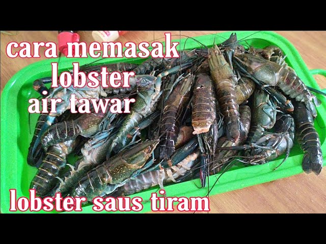 Lobster air tawar