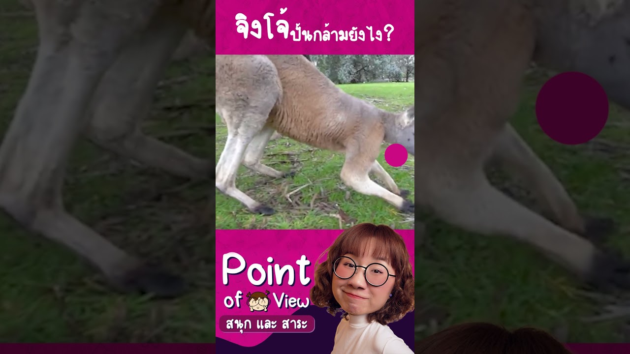 จิงโจ้ปั้นกล้ามยังไง? #pointofview #วิวเอ๋ยบอกข้าเถิด #สาระสัตว์สัตว์