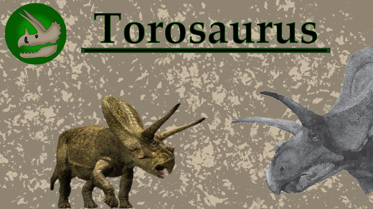 The Prehistoric Bull | Torosaurus