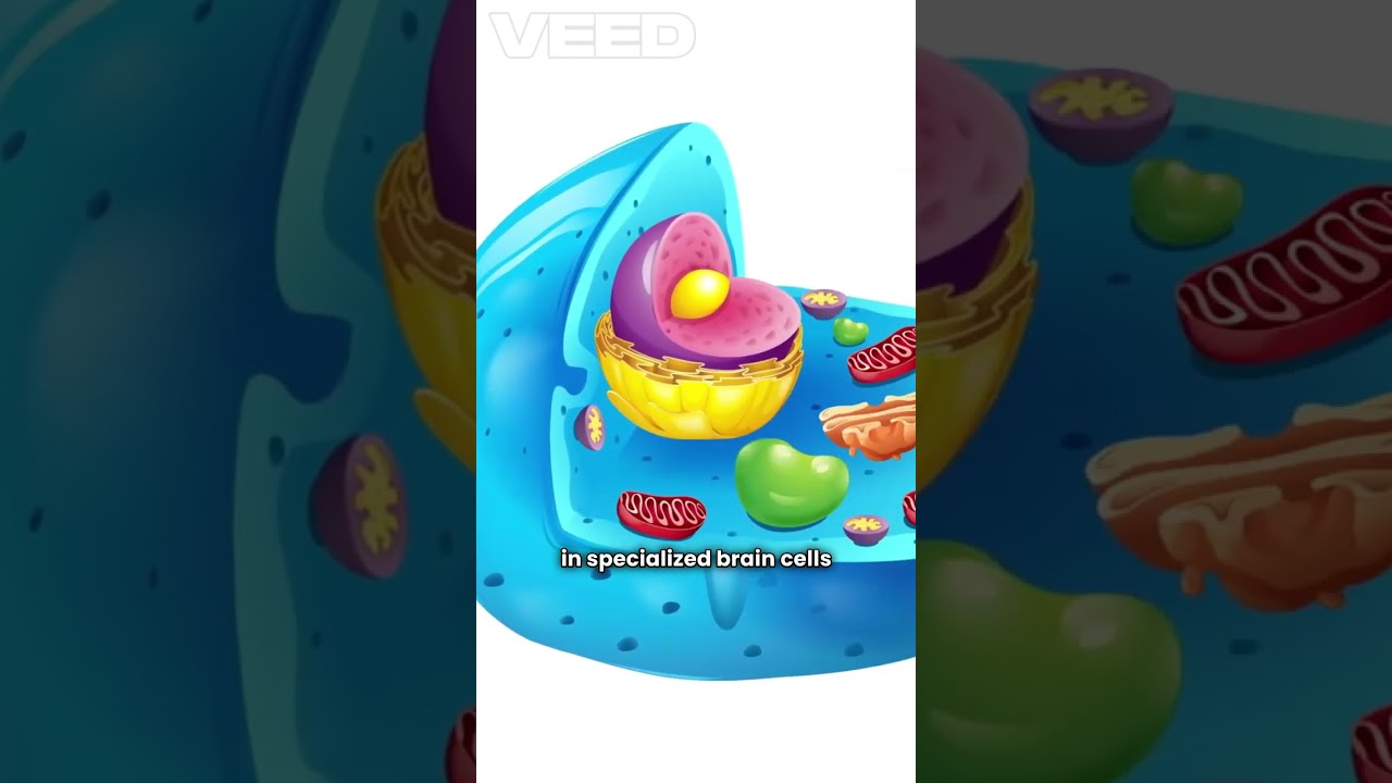 Sleep : Brain's Clean-up Time 