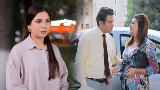 видео:  картинка: