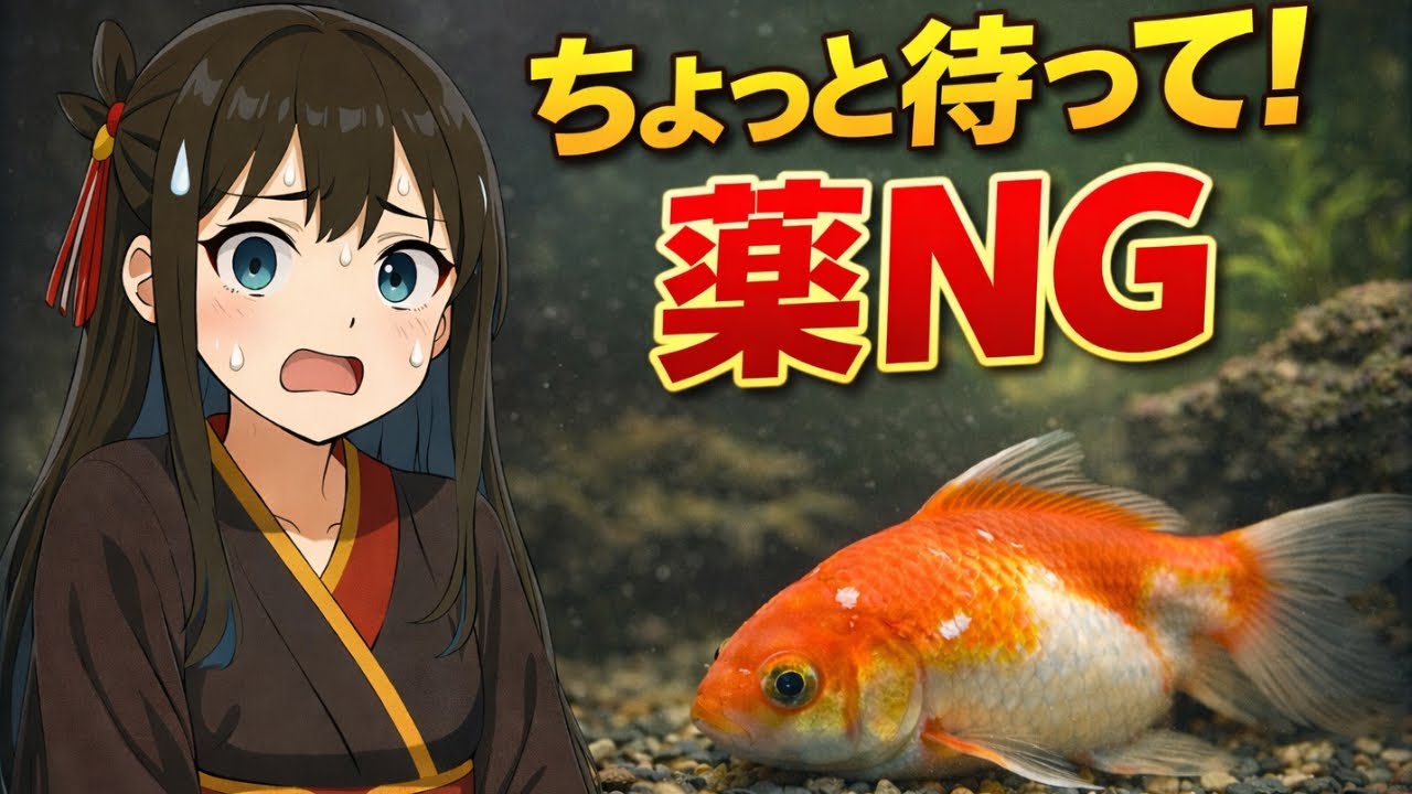【金魚の飼い方】病気かも？と思ったら最初にやるべきこと