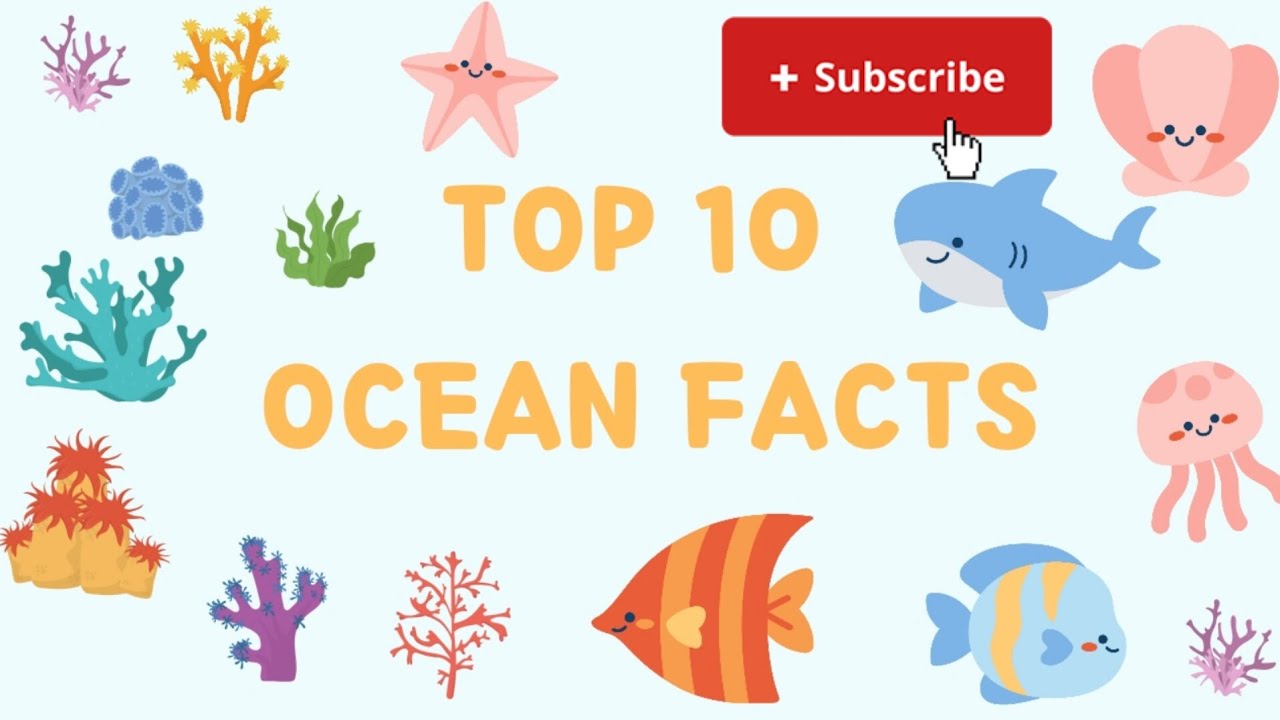 Top 10 Ocean Facts for Kids (You Must Know!) | Top 10 Coolest Ocean ...
