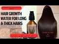 Hair growth water for long  thick hairs  rosemary  fenugreek water