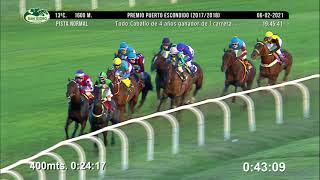 Vidéo de la course PMU PREMIO PUERTO ESCONDIDO 2017 - 2018