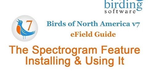 v7 - The Spectrogram Feature