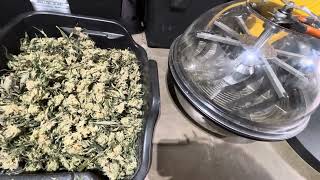 Ac infinity 16 in bowl trimmer in action. 👀 👍