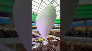 Se Metieron en Problemas por Soltar Miles de Globos 😱