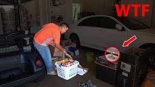 WE FOUND A SNAKE IN OUR GARAGE!! (CALLED ANIMAL CONTROL)