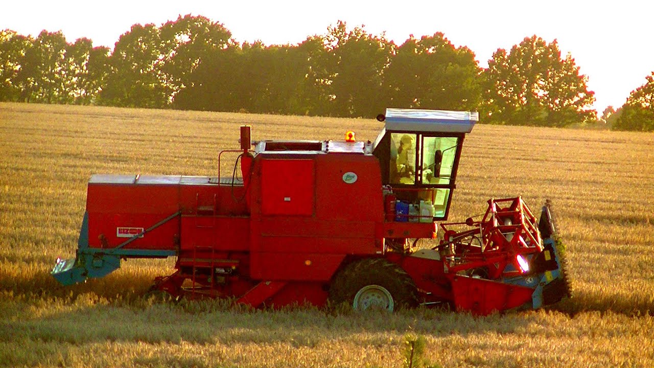 Rzepak 2015 z Bizonem / LUBUSKIE