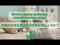 大麻の生地を選ぶ利点はなんでしょうか？Почему нужно выбирать конопляную постель?