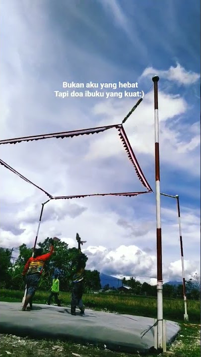 Story Wa Merpati Kolong