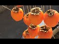 Արքայանարնջի՝  Խուրմայի չիր /Сушёная Хурма/Dried Persimmon _by Mila