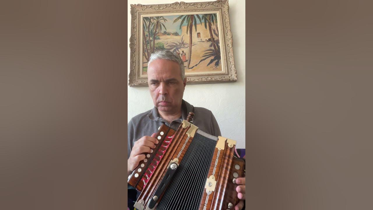 N. Lygeros Dublin story.(Cajun accordion Martin) YouTube