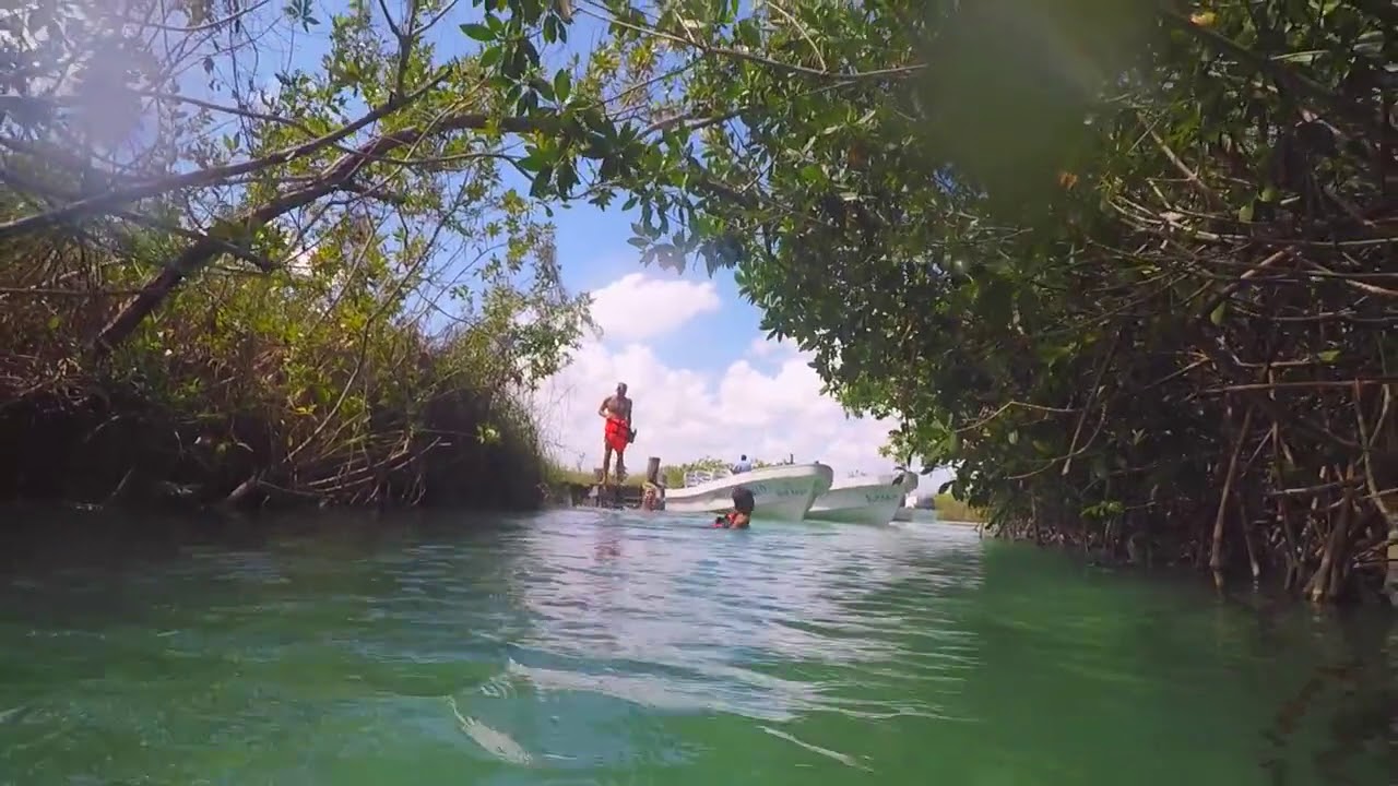 Tulum Tours I Muyil Floating Canals from Campechen Lagoon