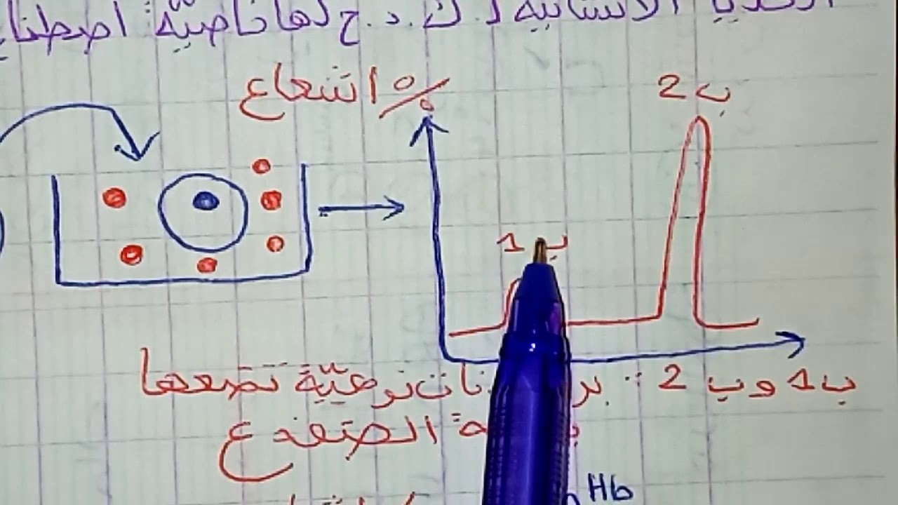 وحدة تركيب البروتين/ الدرس 02/ انتقال المعلومة الوراثية / باكالوريا 2020