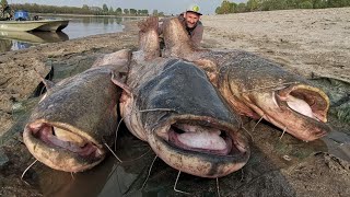 TRE PESCI SILURO GIGANTI  RIVER MONSTER IN ITALIA SUL FIUME PO - Parte 3 - by Yuri Grisendi