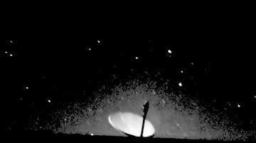 Case 24 015 Angular rate analysis