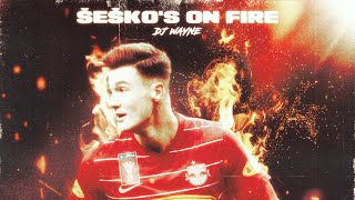 DJ WAYNE - Šeško's on fire (Unofficial Benjamin Šeško Fan Song)