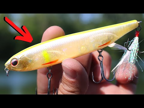 Top 3 BAITS