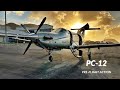HOW TO Preflight an Airplane? - Pilatus PC-12.