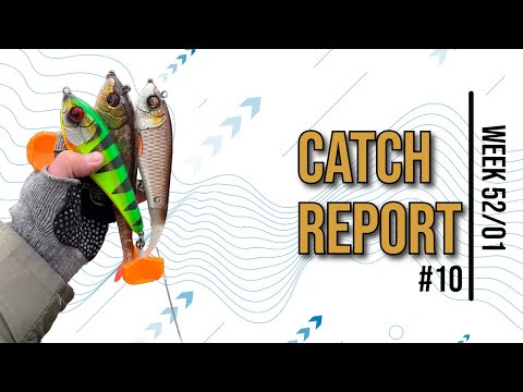 Member Video: Catch Report #10 - Shore fishing and Clear Water Casting