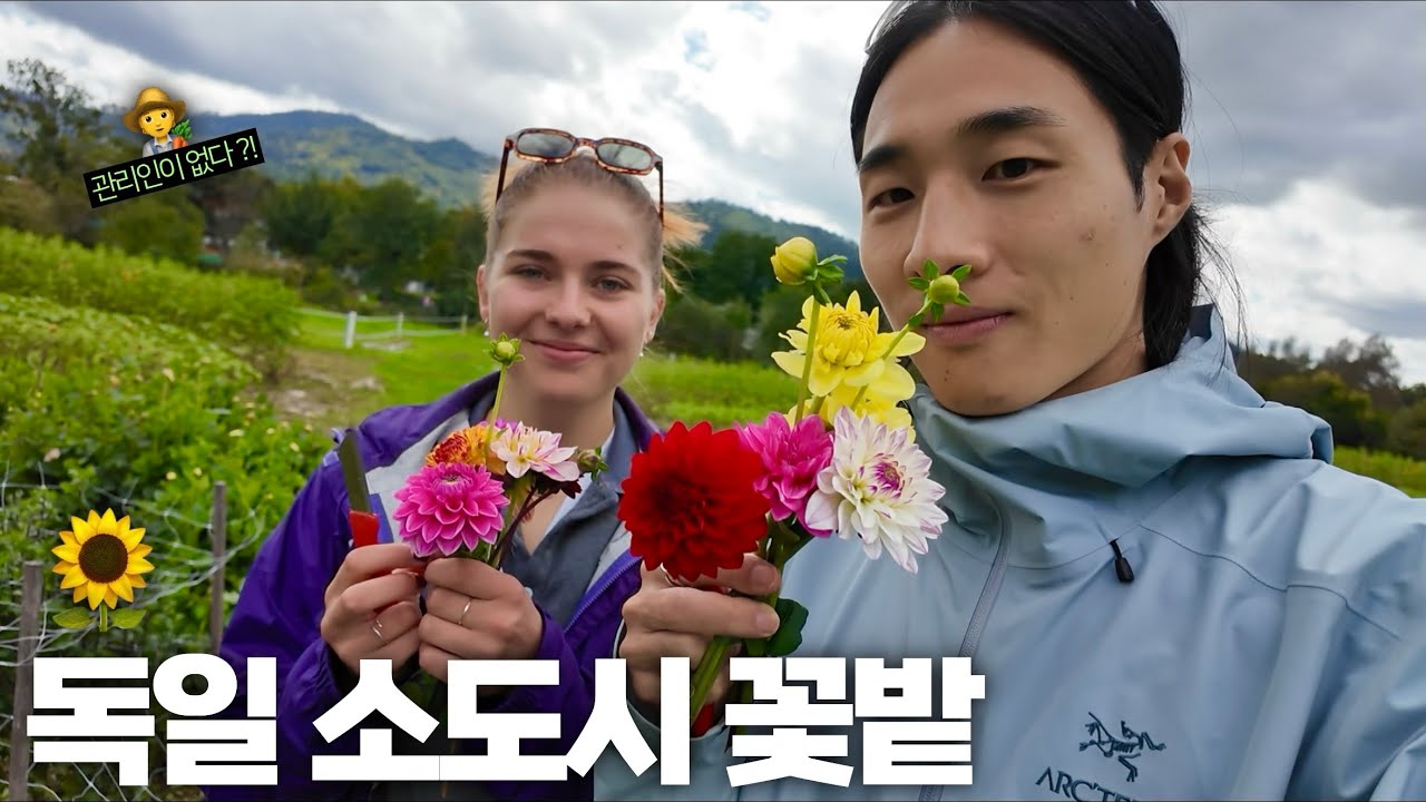 Лечебная поездка в маленький немецкий городок без смотрителей, составление букетов из фиалок в цв...