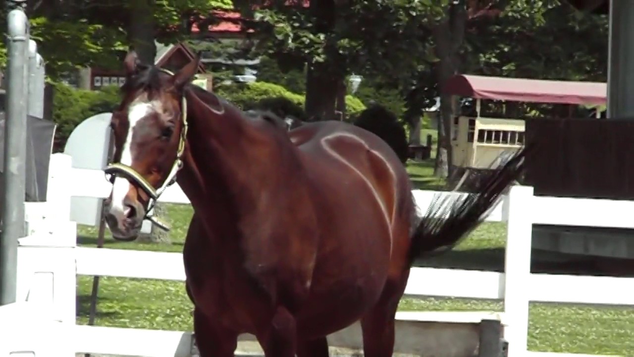 2017 06 Wind in her hair ウィンドインハーヘア MOV046 YouTube 2017 06 Wind in her hair ウィンドインハーヘア MOV046 YouTube