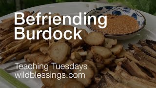 Befriending Burdock and Cooking With it