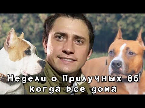 Недели о Прилучных №85 - Когда все дома