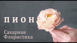 Пион розовидный из мастики/ Sugar fondant peony/ Peonía fondant de azúcar