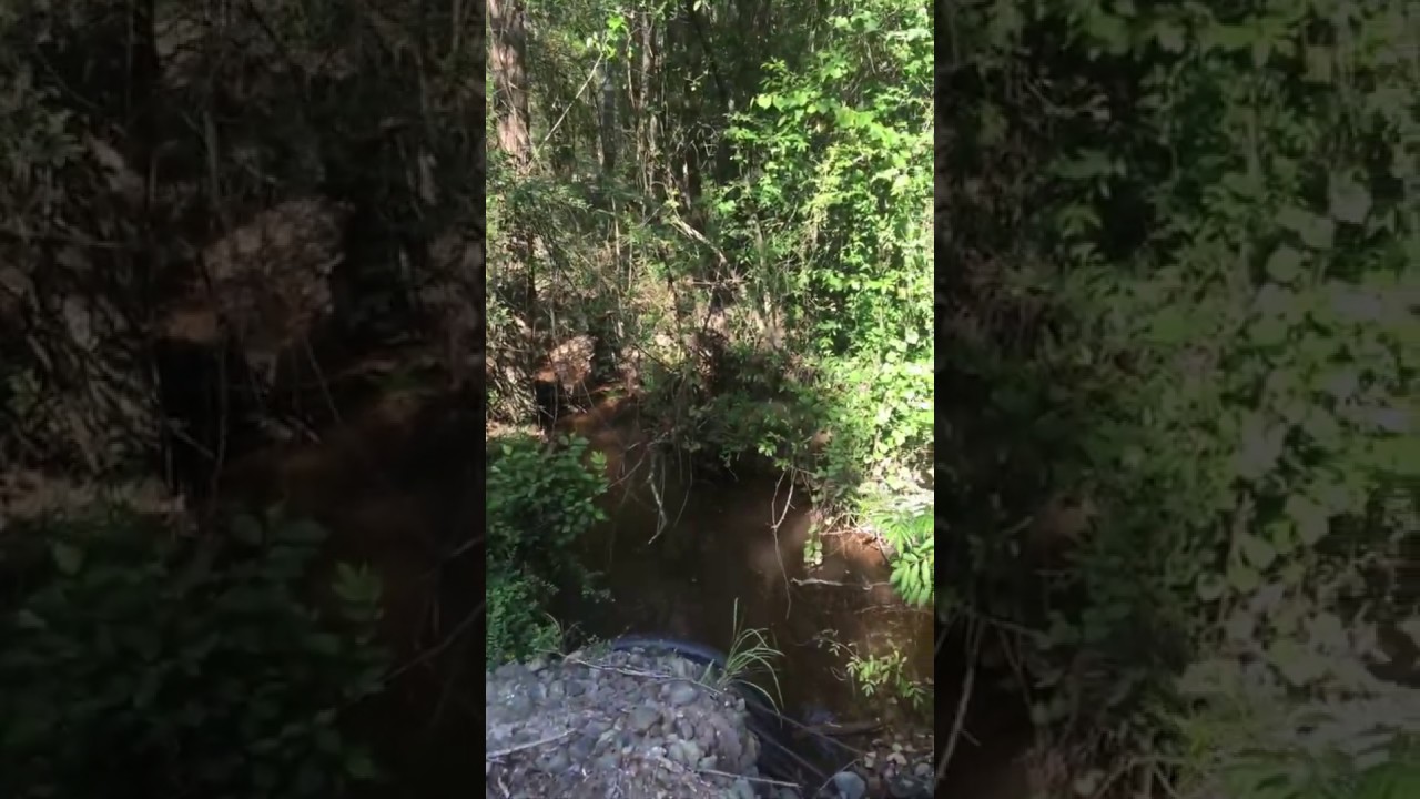 Elegment Land Woodville, Texas (6) YouTube