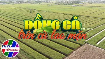 Nhịp sống đồng bằng: Đồng sả trên cù lao mặn