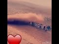 انا عايزك تحفظ شكلي