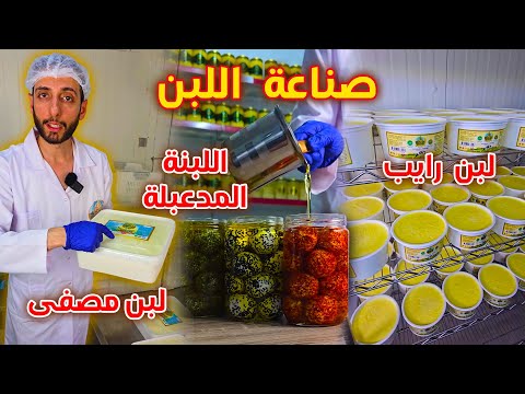 أسرار صناعة اللبن في المصانع رحلة من الحليب إلى الزبادي