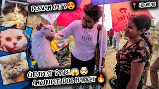 Cheap Price Dog In Howrah | Ankurhati Pet Market Kolkata | Recent Dog Puppy Price Update | Dogs 2024 by Curious Calcutta 761 views 2 months ago 18 minutes